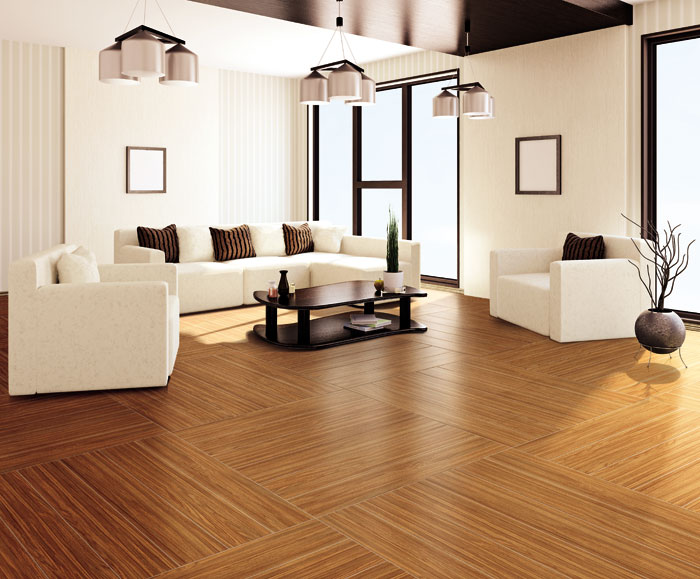 最美，不过当阳光遇上森林