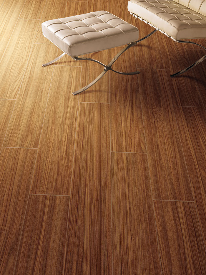 最美，不过当阳光遇上森林