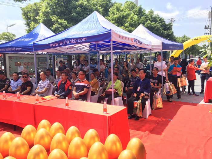 pg电子游戏瓷砖 瓷砖署理 陶瓷一线品牌