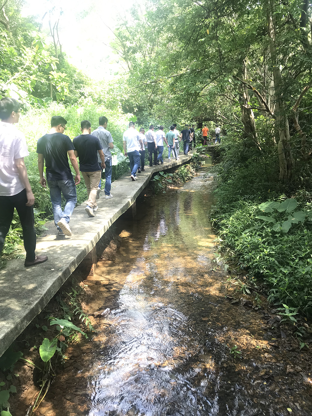 pg电子游戏(试玩)官方网站-APP下载